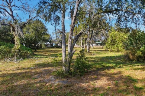 Terreno en venta en Ocala, Florida № 2129623 - foto 11