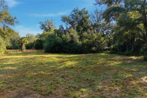 Terreno en venta en Ocala, Florida № 2129623 - foto 14