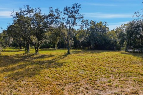 Terreno en venta en Ocala, Florida № 2129623 - foto 17