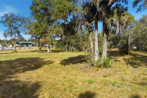 Terreno en venta en Ocala, Florida № 2129623 - foto 15
