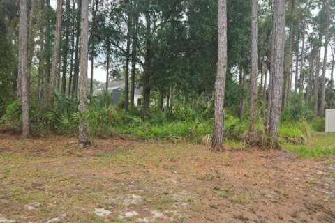 Commercial property in Palm Bay, Florida № 2246274 - photo 3