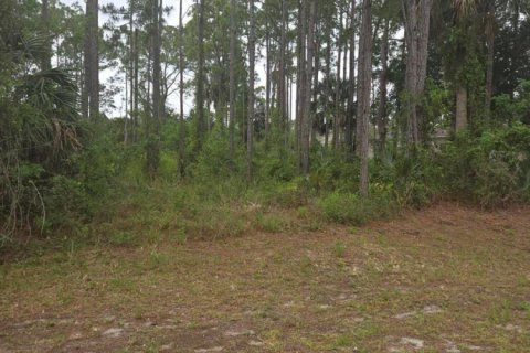 Commercial property in Palm Bay, Florida № 2246274 - photo 2