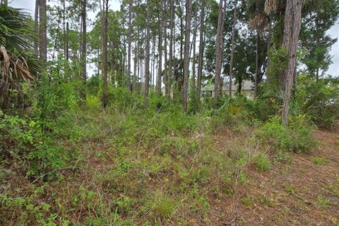 Commercial property in Palm Bay, Florida № 2246274 - photo 9