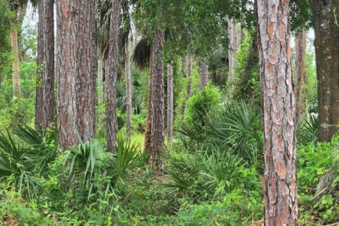 Commercial property in Palm Bay, Florida № 2246274 - photo 8