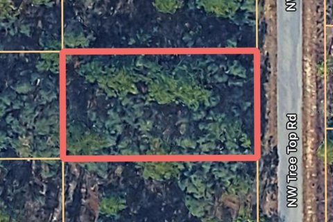 Land in Dunnellon, Florida № 2162919