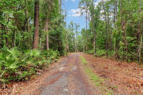 House in Gainesville, Florida 3 bedrooms, 168.34 sq.m. № 2109703 - photo 3