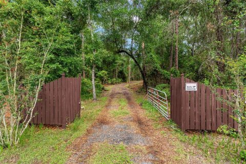 House in Gainesville, Florida 3 bedrooms, 168.34 sq.m. № 2109703 - photo 2