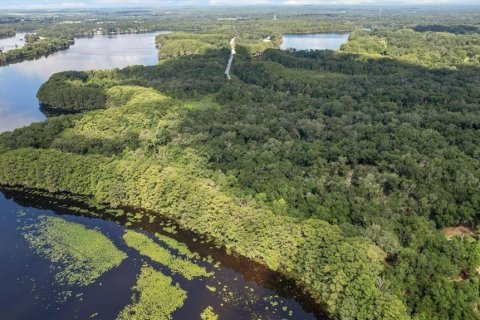 Land in Floral City, Florida № 1849435 - photo 2
