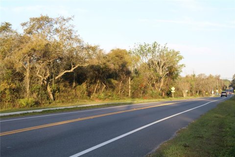 Land in Osteen, Florida № 1636442 - photo 2