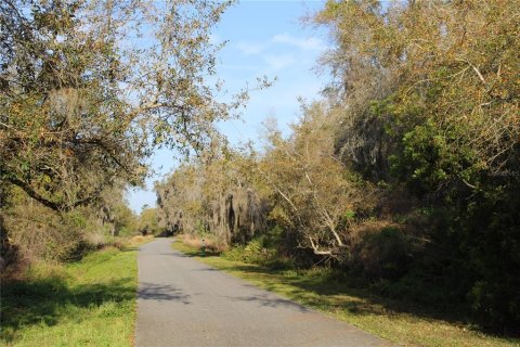 Land in Osteen, Florida № 1636442 - photo 4