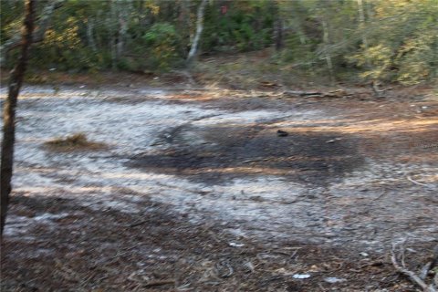 Land in Osteen, Florida № 1636442 - photo 3