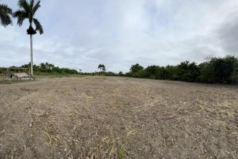 Commercial property in Miami, Florida № 1753194 - photo 1