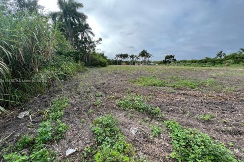 Commercial property in Miami, Florida № 1753194 - photo 5