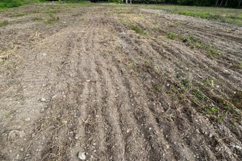 Commercial property in Miami, Florida № 1753194 - photo 4