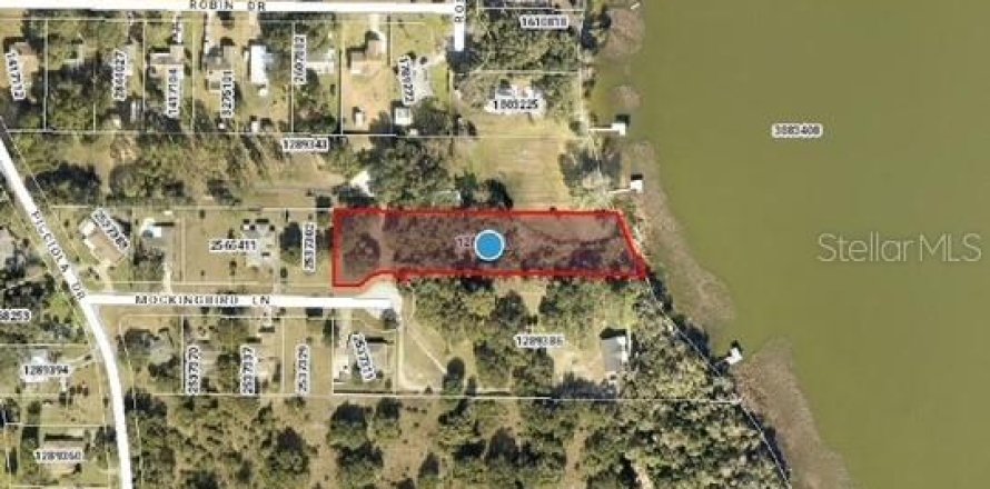 Terreno en Fruitland Park, Florida № 2092588