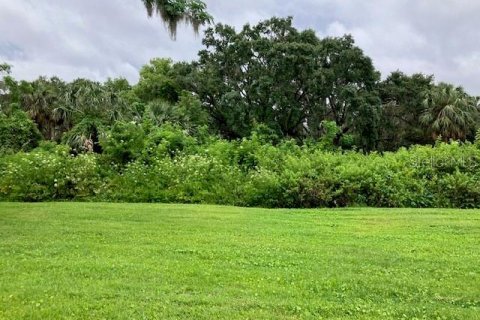 Terreno en venta en Fruitland Park, Florida № 2092588 - foto 9