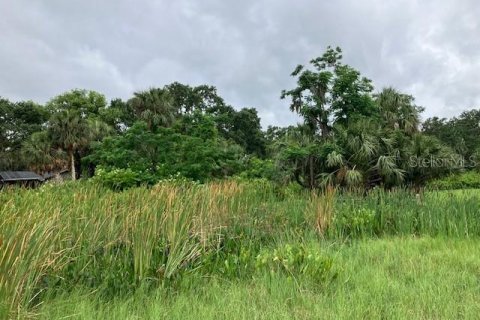 Terreno en venta en Fruitland Park, Florida № 2092588 - foto 8