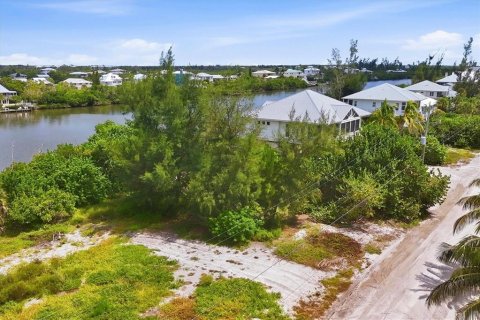 Land in Placida, Florida № 2375525 - photo 5