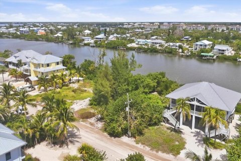 Land in Placida, Florida № 2375525 - photo 4