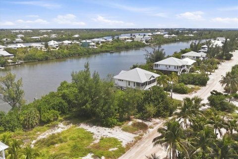 Land in Placida, Florida № 2375525 - photo 6