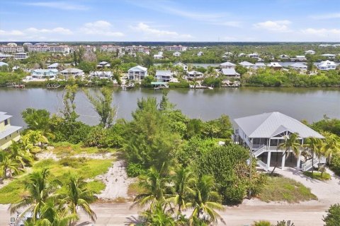 Land in Placida, Florida № 2375525 - photo 3