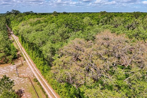 Terreno en venta en Archer, Florida № 1629924 - foto 5