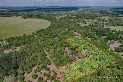 Terreno en venta en Archer, Florida № 1629924 - foto 11