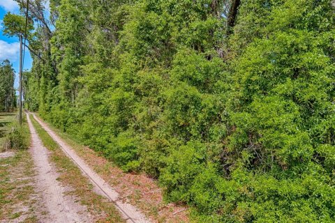 Terreno en venta en Archer, Florida № 1629924 - foto 3