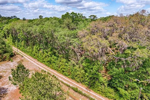 Terreno en venta en Archer, Florida № 1629924 - foto 6