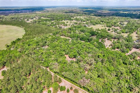 Terreno en venta en Archer, Florida № 1629924 - foto 13
