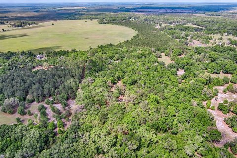 Terreno en venta en Archer, Florida № 1629924 - foto 10