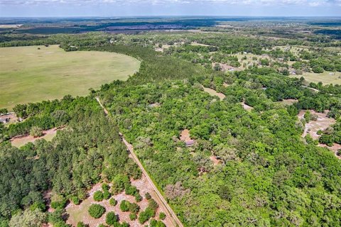 Terreno en venta en Archer, Florida № 1629924 - foto 12