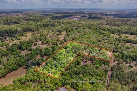 Terreno en venta en Archer, Florida № 1629924 - foto 15