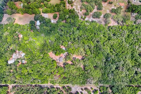 Terreno en venta en Archer, Florida № 1629924 - foto 7