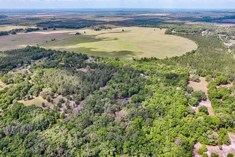 Terreno en venta en Archer, Florida № 1629924 - foto 9