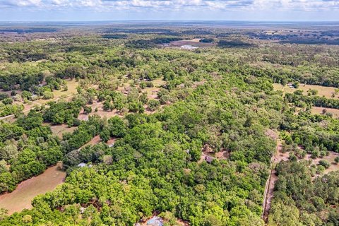 Terreno en venta en Archer, Florida № 1629924 - foto 16