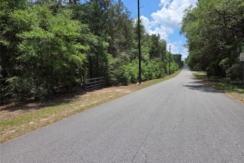 Terrain à vendre à Dunnellon, Floride № 2149663 - photo 6
