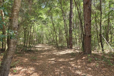 Terrain à Dunnellon, Floride № 2149663