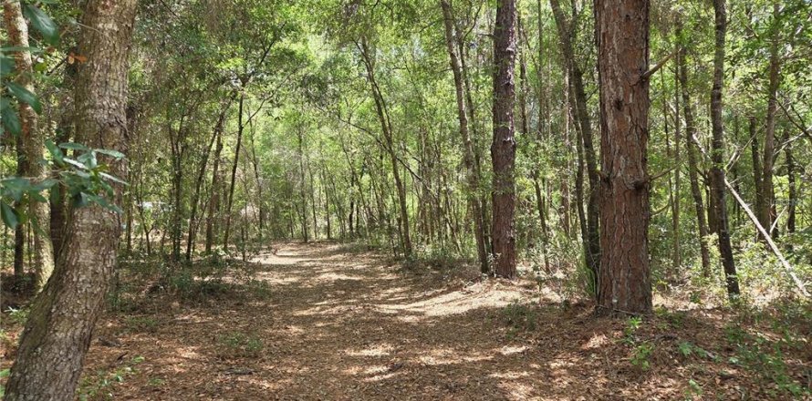 Terrain à Dunnellon, Floride № 2149663