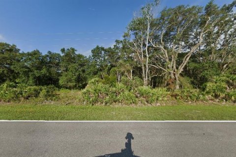 Land in Orlando, Florida № 2219138 - photo 4