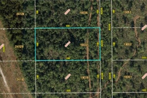 Land in Orlando, Florida № 2219138 - photo 2
