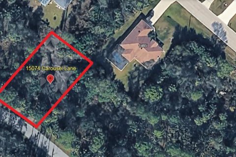 Land in Port Charlotte, Florida № 2163398 - photo 2