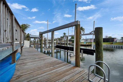 Villa ou maison à vendre à Apollo Beach, Floride: 4 chambres, 177.63 m2 № 1679529 - photo 29