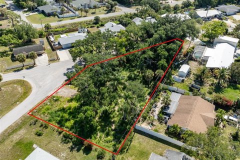 Terreno en venta en Venice, Florida № 1114692 - foto 2
