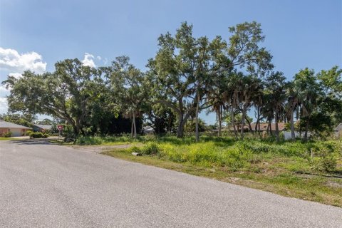 Terreno en venta en Venice, Florida № 1114692 - foto 6