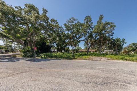 Terreno en venta en Venice, Florida № 1114692 - foto 8