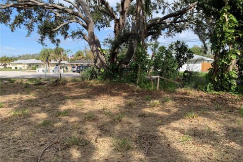 Terreno en venta en Venice, Florida № 1114692 - foto 16