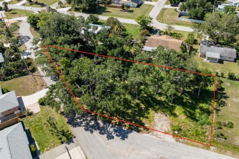 Terreno en venta en Venice, Florida № 1114692 - foto 29