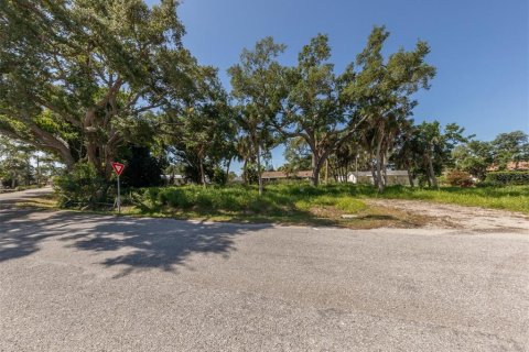 Terreno en venta en Venice, Florida № 1114692 - foto 9