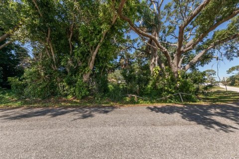 Terreno en venta en Venice, Florida № 1114692 - foto 12